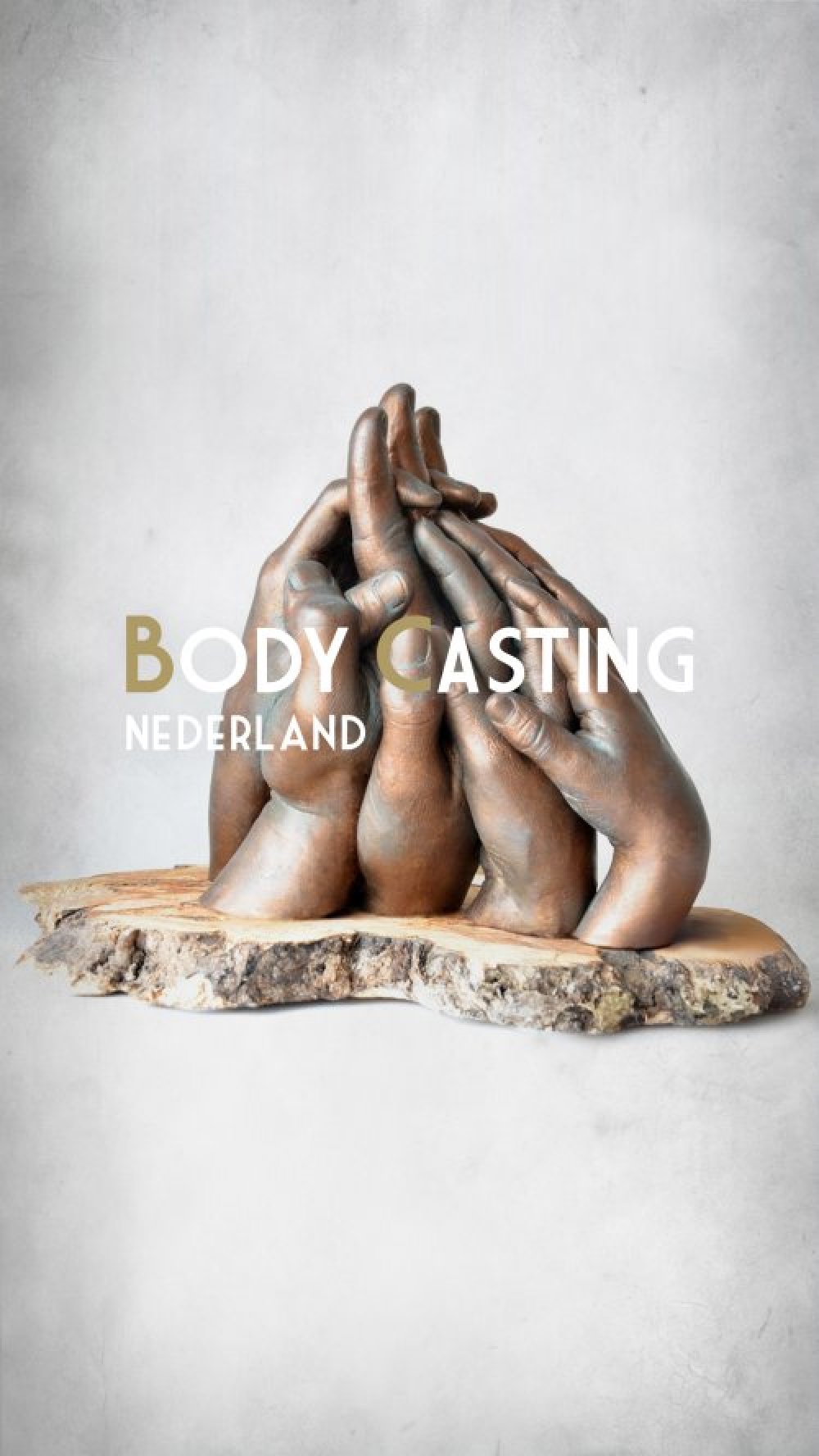 2025_handenbeeld_omschrijving-van-dit-beeld_alt-tag-voor-dit-beeld_5