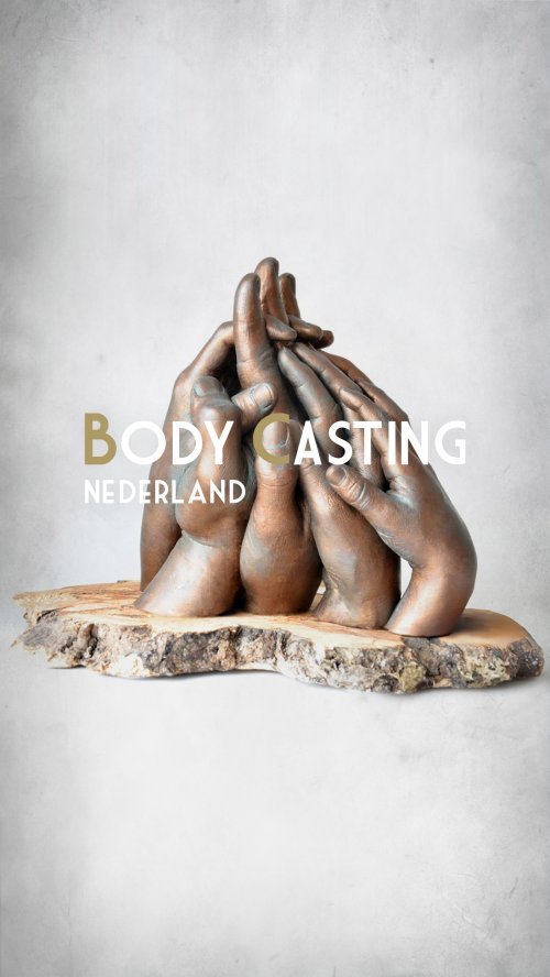 2025_handenbeeld_omschrijving-van-dit-beeld_alt-tag-voor-dit-beeld_5