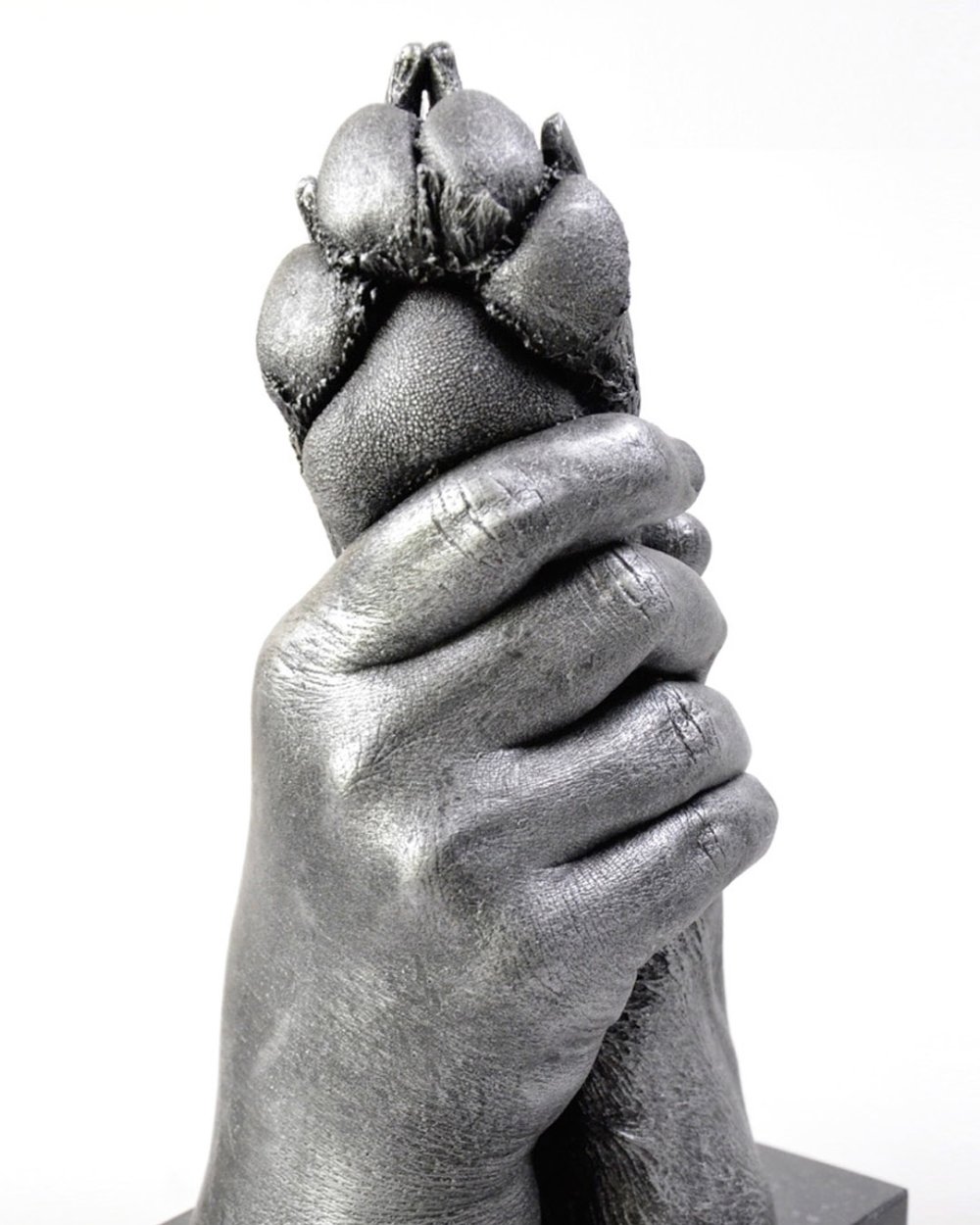 Bodycasting van hondenpoot vastgehouden door mensenhand