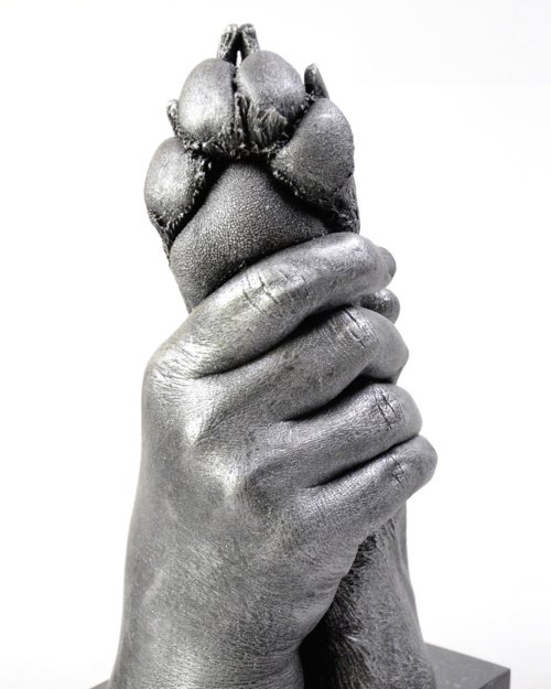 Bodycasting van hondenpoot vastgehouden door mensenhand