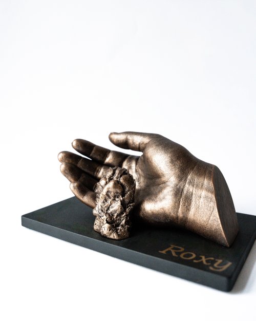 Bodycasting van hondenpoot in hand van baasje op zwarte voetplaat