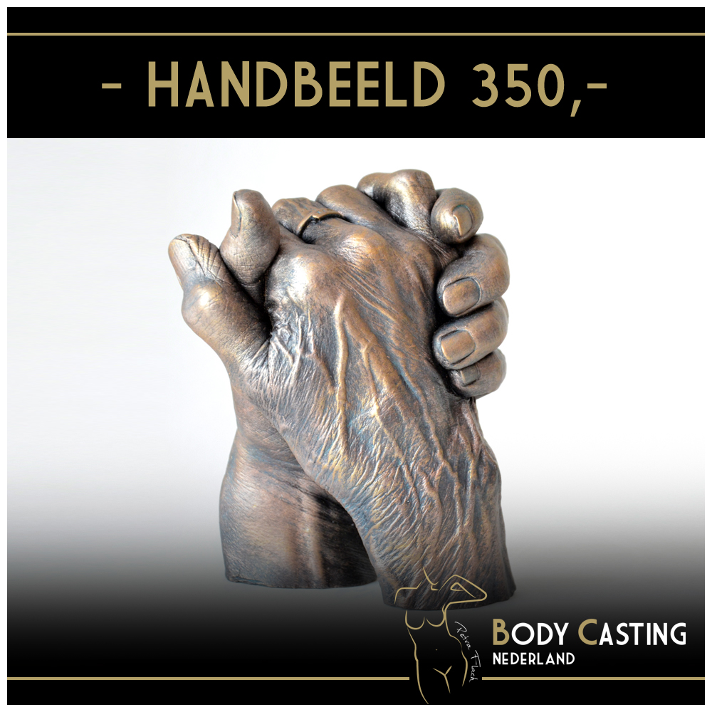 Handbeeld 350 euro